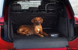 Pet Loadspace Protection Pack image