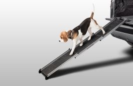 Honden loopplank image