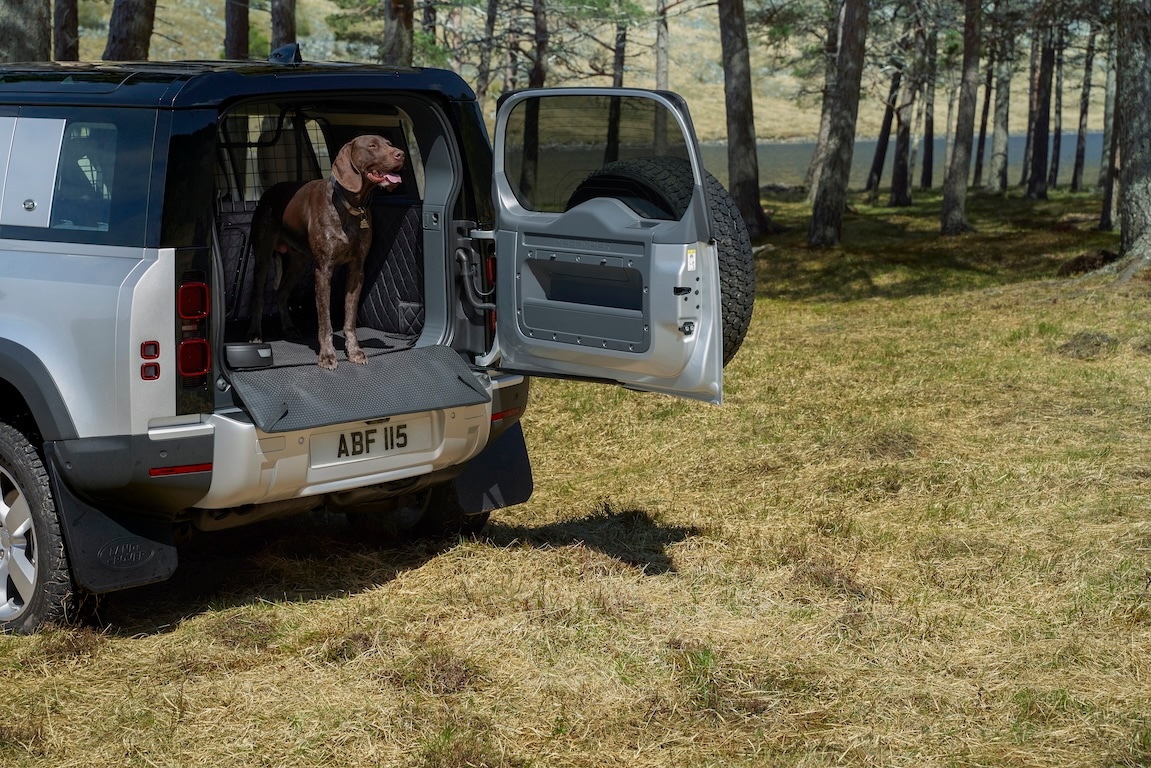 Pet Loadspace Protection Pack image