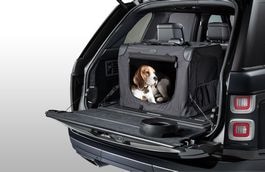 Pet Transportation Pack