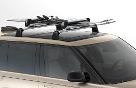 Ski and Snowboard Carrier