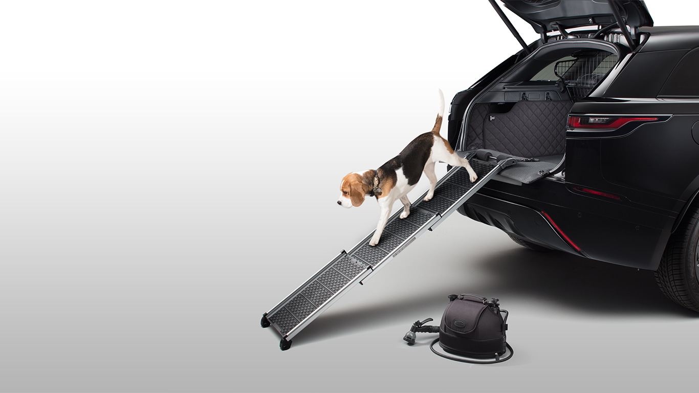 Pack de "Care & Access" d'animaux - A partir de MY21 image